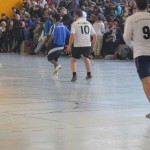 IMG_2598 IMG_2598